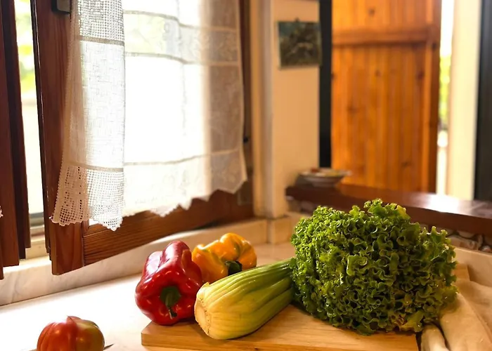 Lejlighed House Ilary